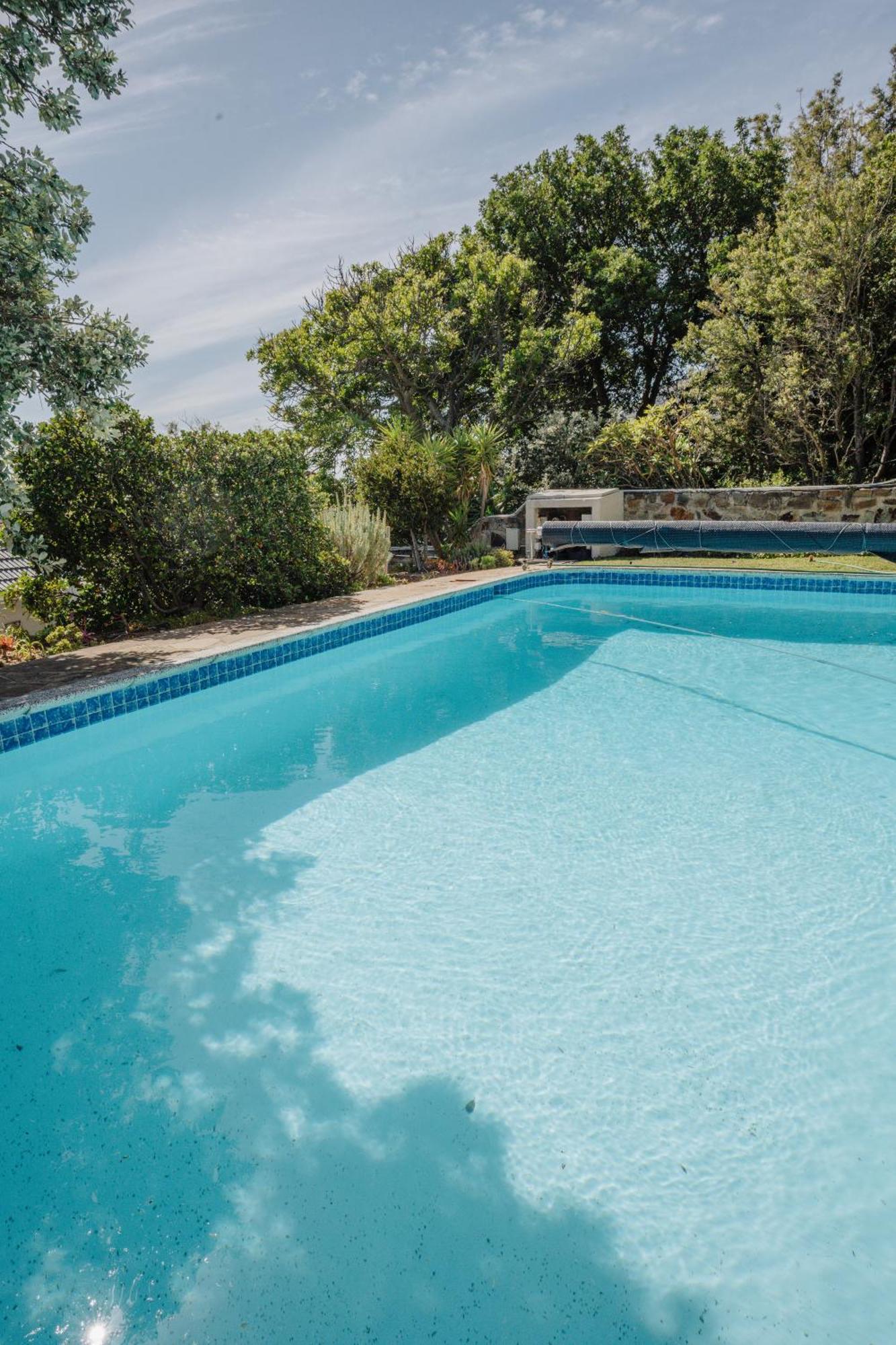 Echo Friendly Sunny Contemporary Garden Flat Apartment Cape Town Ngoại thất bức ảnh